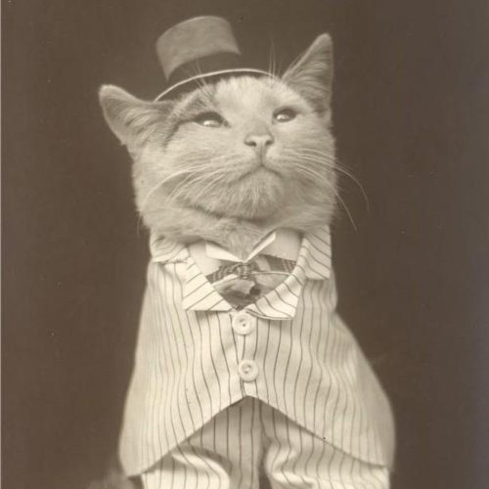 Meet your Posher, Yvette